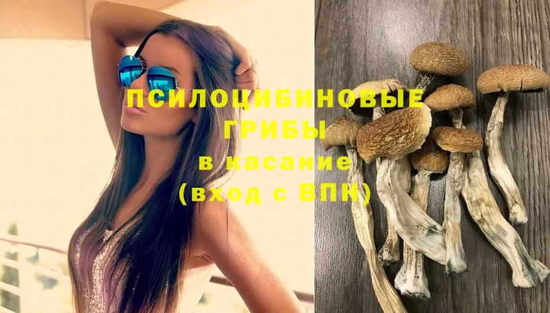 Псилоцибиновые грибы Psilocybine cubensis  купить  сайты  блэк спрут сайт  Нягань 